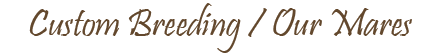 Custom Breeding - about our mares