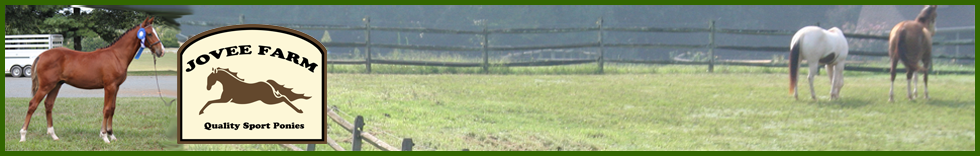 Jovee Pony Farm