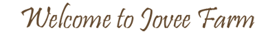 Welcome to Jovee Farm