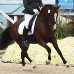 Phenix 2014