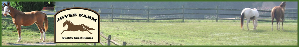 Jovee Pony Farm