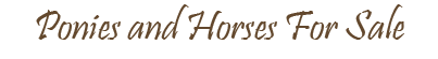 Welcome to Jovee Farm
