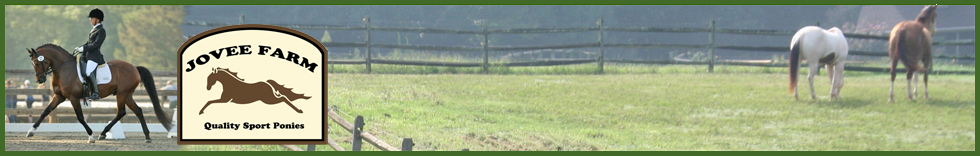 Jovee Pony Farm