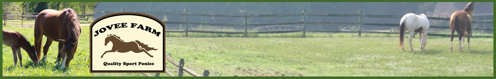 Jovee Pony Farm